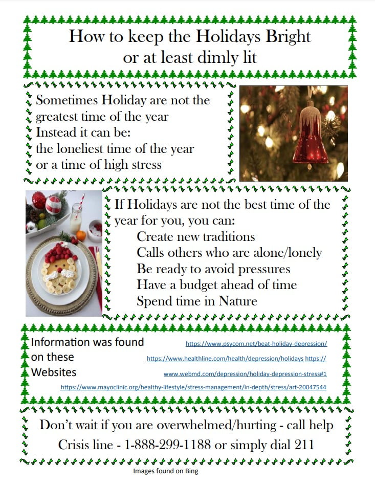 fact-sheet-mh-holidays-001