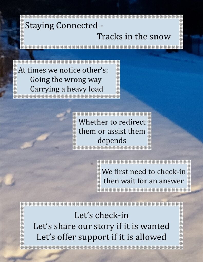 fact sheet - tracks in the snow